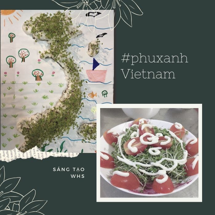 Cùng con “Phủ xanh Việt Nam”