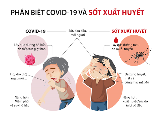 Phân biệt triệu chứng Sốt xuất huyết và Covid-19